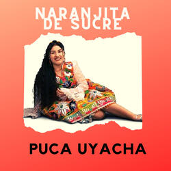 Puka Uyacha