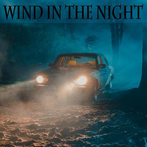 Wind in the Night