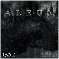 Aleum