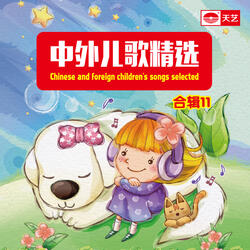 快乐的小鸟