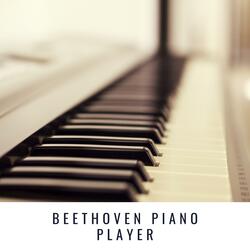 Piano Sonata No. 12, In A Flat Major, Op. 26 : III. Marcia Funebre Sulla Morte D'un Eroe