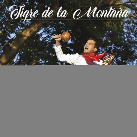 Tigre de la Montaña