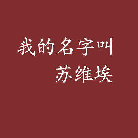 我的名字叫苏维埃