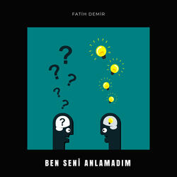 Ben Seni Anlamadım