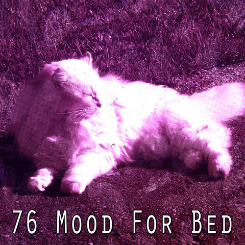 76 Mood For Bed