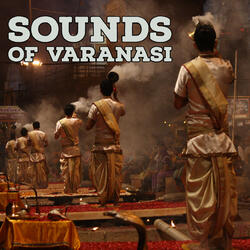 Raag Malkauns - Sitar