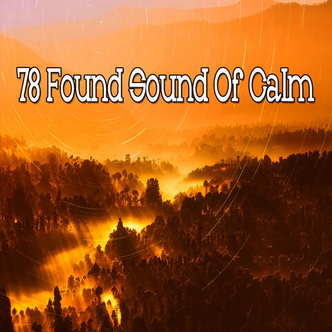 78 Found Sound Of Calm