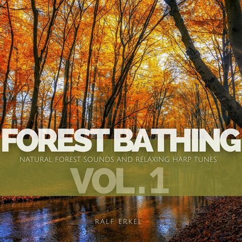 Forest Bathing: Natural Forest Sounds And Relaxing Harp Tunes