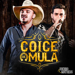 Coice de Mula
