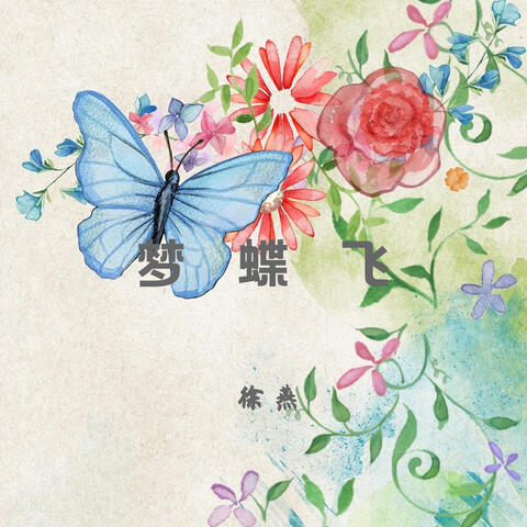 夢蝶飛