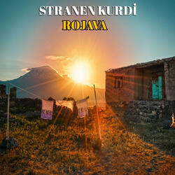 Rojava