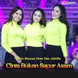 Cinta Bukan Sayur Asem
