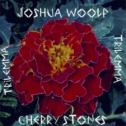 Cherry Stones