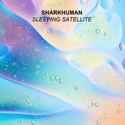 Sleeping Satellite