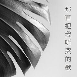 那首把我听哭的歌