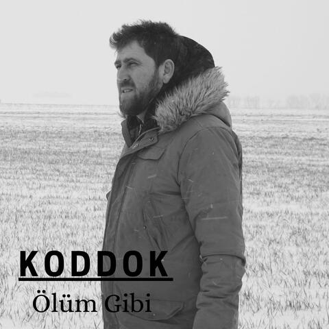 Ölüm Gibi