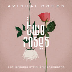 Working with Avishai Cohen