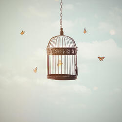 Wishes of Freedom