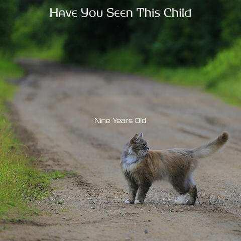 Have You Seen This Child