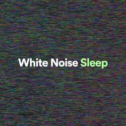 White Noise, Pt. 5