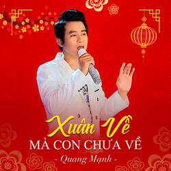 Xuân Về Mà Con Chưa Về