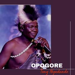 Opogore