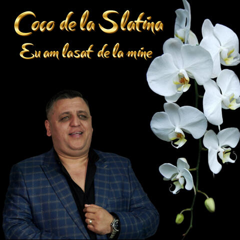 Eu am lasat de la mine