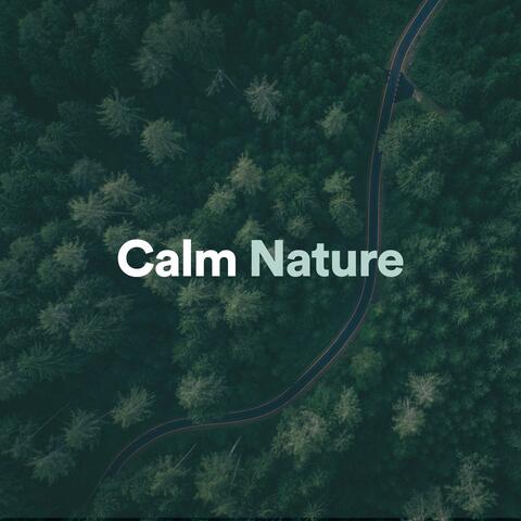 Calm Nature