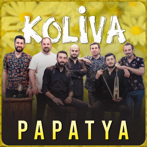 Papatya