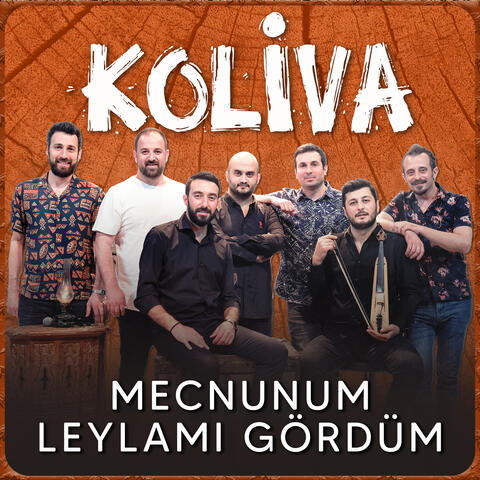 Mecnunum Leylamı Gördüm