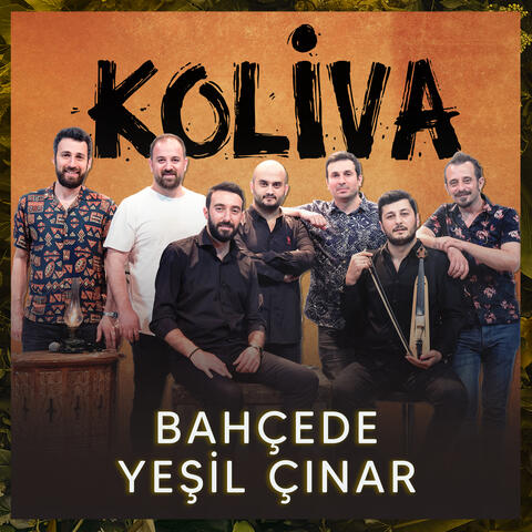 Bahçede Yeşil Çınar
