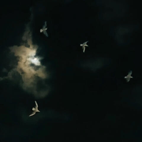 Closer to the Sun (Radio Edit)