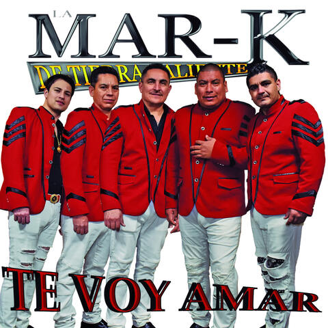 Te Voy Amar