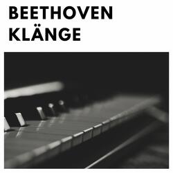 Piano Sonata No. 3 In C Major, Op. 2 No. 3 : III. Scherzo, Allegro