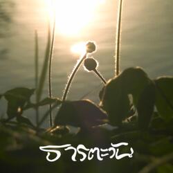 ธารตะวัน