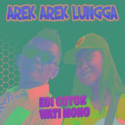 Arek arek lungga