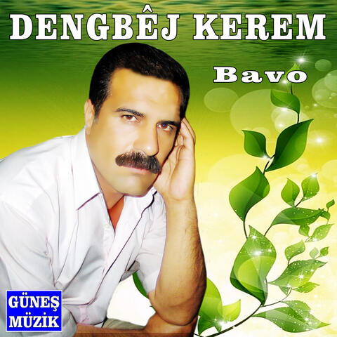 Bavo