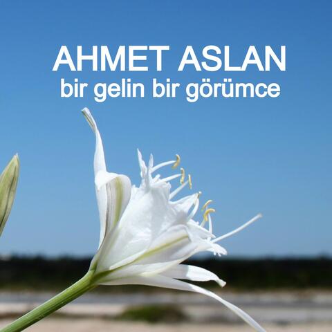 Bir Gelin Bir Görümce