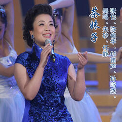 茶妹子