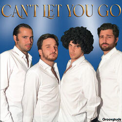 Can't Let You Go
