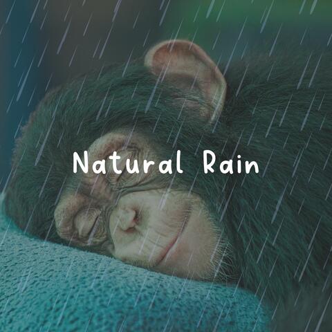Natural Rain