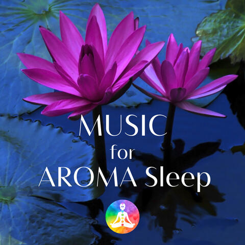 Music For Deep Sleep 528Hz Miracle Tone