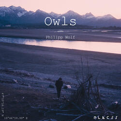 Owls