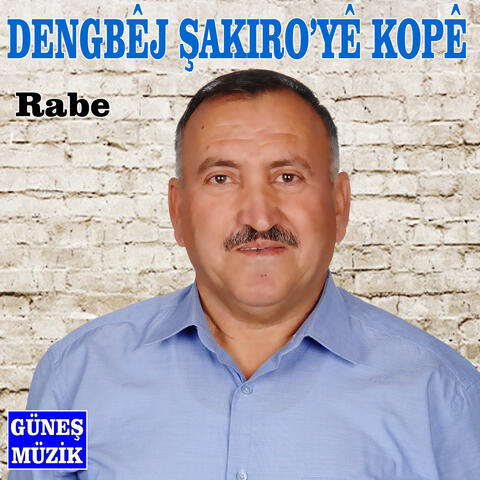 Rabe