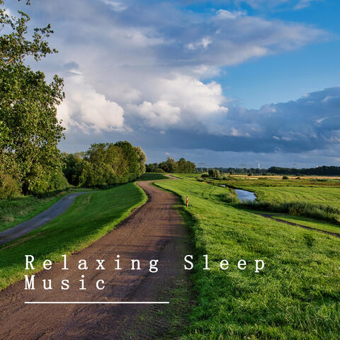 Relaxing Sleep Music