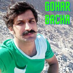 Halak Naray Chenar Da Tapey