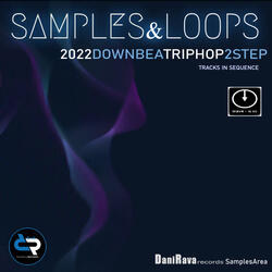 2Step Bass Loops 02