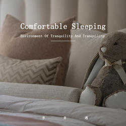 Comfortable Sleeping Environment