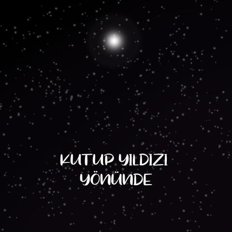 Kutup Yıldızı Yönünde
