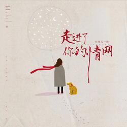 走进了你的情网